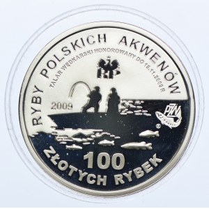 Ryby Polskich Akwenów, 100 złotych rybek - Karp, 2009