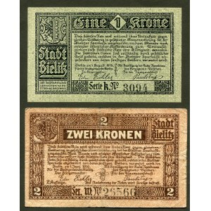 Zestaw, Bielsko 1, 2 korony 1919 (2szt.)