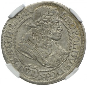 Śląsk, Leopold I, 6 krajcarów 1682, Wrocław, NGC AU53