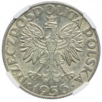 5 złotych 1936, Żaglowiec, NGC UNC DETAILS