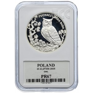 20 złotych 2005, Puchacz, GCN PR67