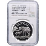 20 złotych 2014 Konik Polski, NGC PF69 ULTRA CAMEO