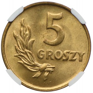 5 groszy 1949 NGC MS66 RD