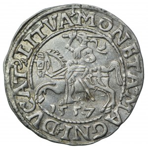Zygmunt II August, półgrosz 1557 Wilno