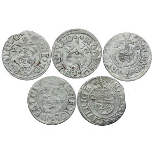 Sigismund III Vasa, Gustavus II Adolphus, George William, set of half-tracks (5pcs).