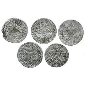 Sigismund II Augustus, set of half-pennies 1549, 1556, 1557, 1560, 1563 (5pcs).