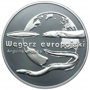 20 Gold 2003, Europäischer Aal