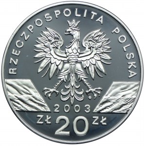 20 Gold 2003, Europäischer Aal