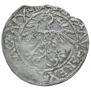 Sigismund II Augustus, halber Pfennig 1562 Vilnius, Destrukt-Doppelprägung