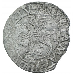 Sigismund II Augustus, halber Pfennig 1562 Vilnius, Destrukt-Doppelprägung