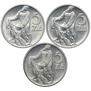 Zestaw PRL, 5 złotych, Rybak 1959-60 (3 szt.)