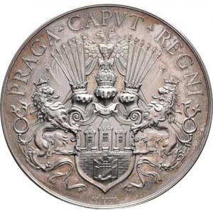 Praha - medaile Zemské jubilejní výstavy 1891, Braun a Mauder - Záslužná medaile města Prahy 1891 -