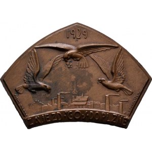 Sokolské medaile, medailky a odznaky - regionální, Plzeň 1929 - zájezd ČOS, Sign.Koukolíček-Pichl,