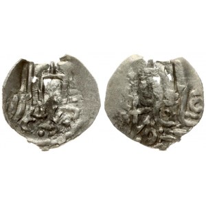 Lithuania 1/2 Bohemian Groat undated (1427-1430) Kiew mint. Vytautas(1392-1430). Columns...