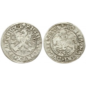 Lithuania 1/2 Grosz 1546 Vilnius. Sigismund II Augustus (1545-1572). Averse Lettering: SIGIS AVG REX PO MAG DVX L...