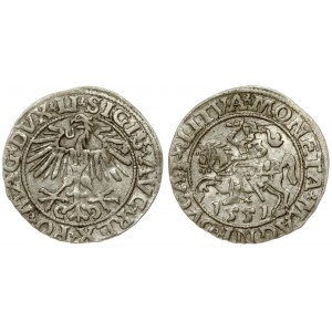 Lithuania 1/2 Grosz 1551 Vilnius. Sigismund II Augustus (1545-1572). Averse Lettering: SIGIS AVG REX PO MAG DVX LI...