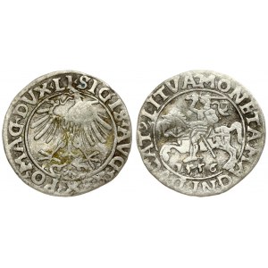 Lithuania 1/2 Grosz 1556 Vilnius. Sigismund II Augustus (1545-1572). Averse Lettering: SIGIS AVG REX PO MAG DVX LI...