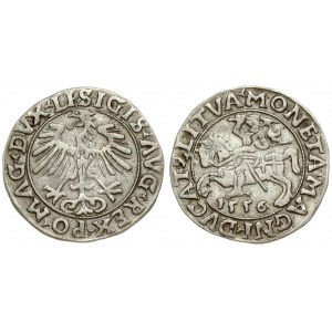 Lithuania 1/2 Grosz 1556 Vilnius. Sigismund II Augustus (1545-1572). Averse Lettering: SIGIS AVG REX PO MAG DVX LI...