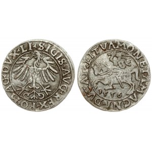 Lithuania 1/2 Grosz 1556 Vilnius. Sigismund II Augustus (1545-1572). Averse Lettering: SIGIS AVG REX PO MAG DVX LI...