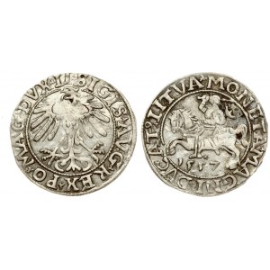 Lithuania 1/2 Grosz 1557 Vilnius. Sigismund II Augustus (1545-1572). Averse Lettering: SIGIS AVG REX PO MAG DVX LI...