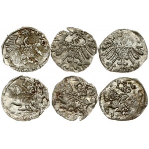 Lithuania 1 Denar 1558 & 1559 Vilnius. Sigismund II Augustus (1545-1572) - Lithuanian coins Vilnius. Reverse Lettering...