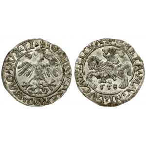 Lithuania 1/2 Grosz 1558 Vilnius. Sigismund II Augustus (1545-1572). Averse Lettering: SIGIS AVG REX PO MAG DVX LI...