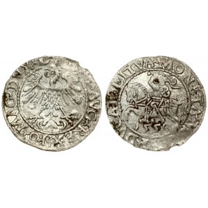 Lithuania 1/2 Grosz 1559 Vilnius. Sigismund II Augustus (1545-1572). Averse Lettering: *SIGIS*AVG*REX*PO*MAG*DVX*L...