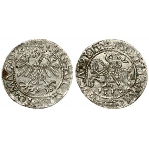 Lithuania 1/2 Grosz 1559 Vilnius. Sigismund II Augustus (1545-1572) - Lithuanian coins 1559 Vilnius...