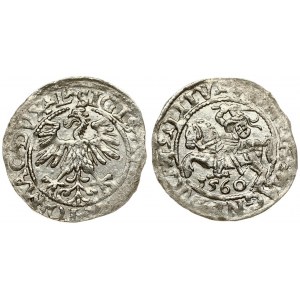 Lithuania 1/2 Grosz 1560 Vilnius. Sigismund II Augustus (1545-1572). Averse Lettering: *SIGIS*AVG*REX*PO*MAG*DVX*L...