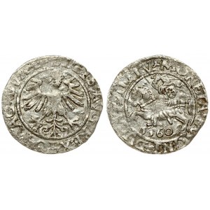 Lithuania 1/2 Grosz 1560 Vilnius. Sigismund II Augustus (1545-1572). Averse Lettering: SIGIS AVG REX PO MAG DVX LI...