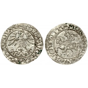 Lithuania 1/2 Grosz 1561 Vilnius. Sigismund II Augustus (1545-1572). Averse Lettering: SIGIS AVG REX PO MAG DVX L...