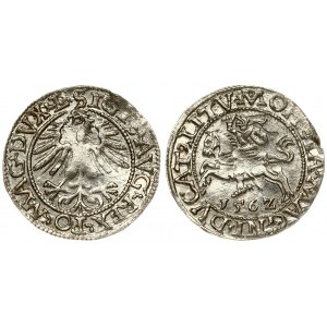 Lithuania 1/2 Grosz 1562 Vilnius. Sigismund II Augustus (1545-1572). Averse Lettering: SIGIS AVG REX PO MAG DVX L...