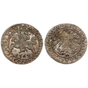 Lithuania 1/2 Grosz 1562 Vilnius. Sigismund II Augustus (1545-1572). Averse Lettering: SIGIS AVG REX PO MAG DVX L...