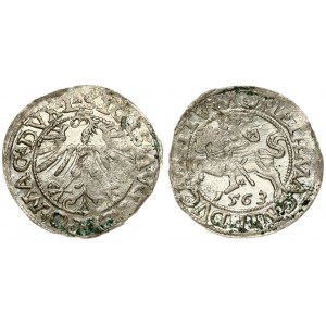 Lithuania 1/2 Grosz 1563 Vilnius. Sigismund II Augustus (1545-1572). Averse Lettering: SIGIS AVG REX PO MAG DVX L...