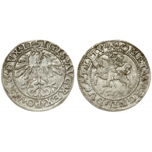 Lithuania 1/2 Grosz 1563 Vilnius. Sigismund II Augustus (1545-1572). Averse Lettering: SIGIS AVG REX PO MAG DVX LI...