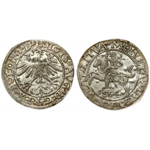 Lithuania 1/2 Grosz 1564 Vilnius. Sigismund II Augustus (1545-1572). Averse Lettering: SIGIS AVG REX PO MAG DVX L...