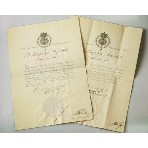 Denmark Award Documents (1919-1930) Karl Marius Widding. Award & Other Documents. Paper...