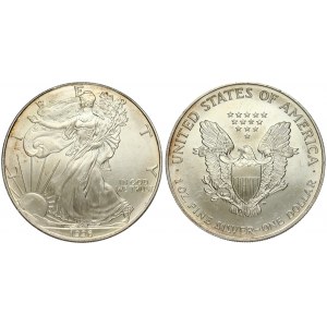 USA 1 Dollar 1996 'American Silver Eagle'. Averse: Walking Liberty. Lettering: L I B E R T Y IN GOD WE TRUST AAW...