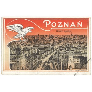 [ORZEŁ] Poznań. Widok ogólny