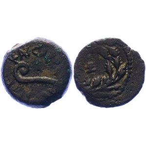 Roman Empire Judea Æ Prutah 30 - 31 AD (Year 17)