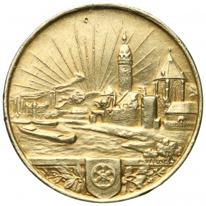 Germany gold medal 1863-1913 Farbwerke...