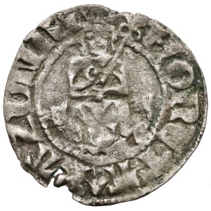 Casimir III the Great, Halfgrout Krakau