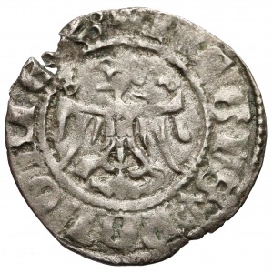 Casimir III the Great, Halfgrout Krakau