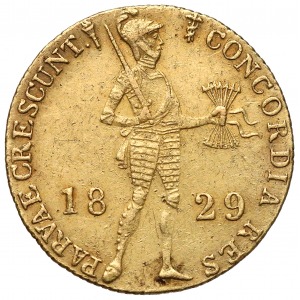 Netherlands Ducat 1829