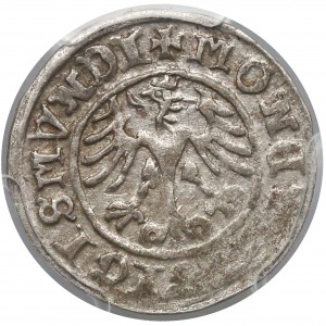 Half Grosz, Krakau 1511