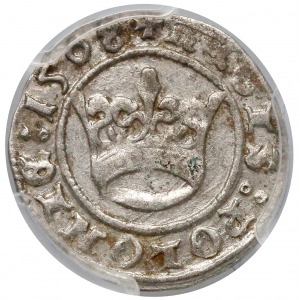 Half Grosz, Krakau 1508