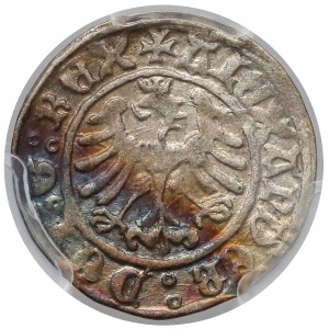 Alexander Jagiellon, Half Grosz, Krakau