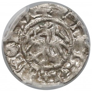 John I Albert, Half Grosz, Krakau