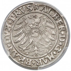 Albert Hohenzollern Grosz 1531 PRVS