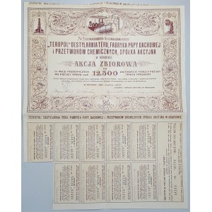 TEROPOL Destylarnia Teru, Fabryk Papy Dachowej... 25x 500 mkp 1922
